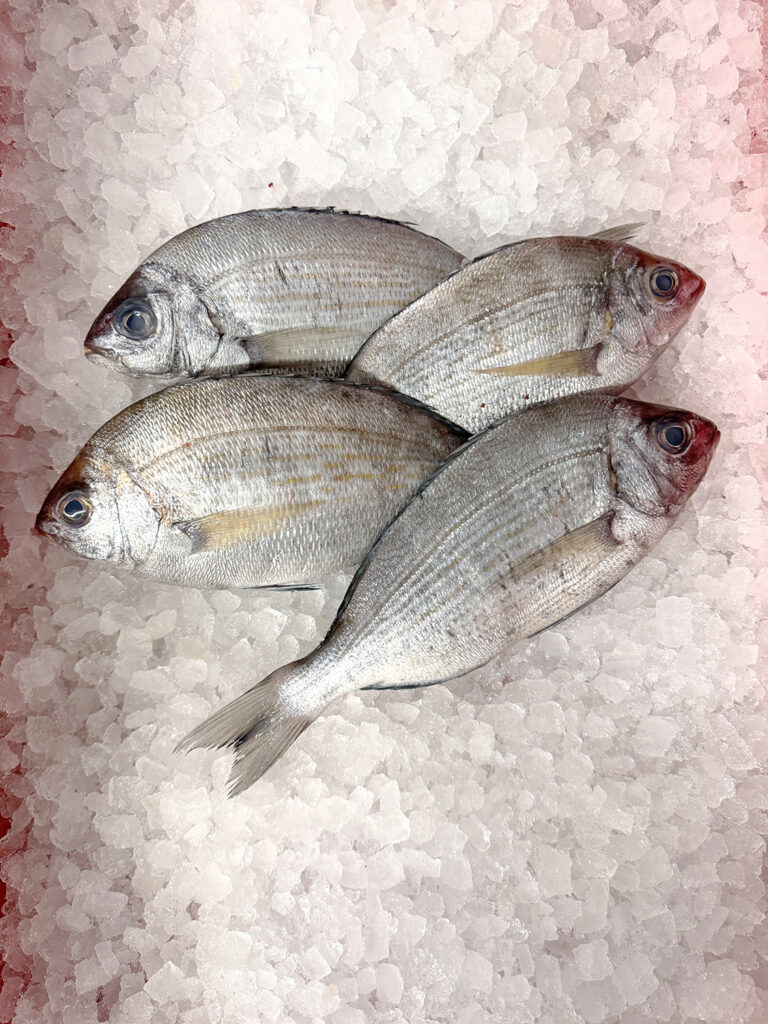 Black Bream (2x whole fish, 800g total) – RG Seafoods