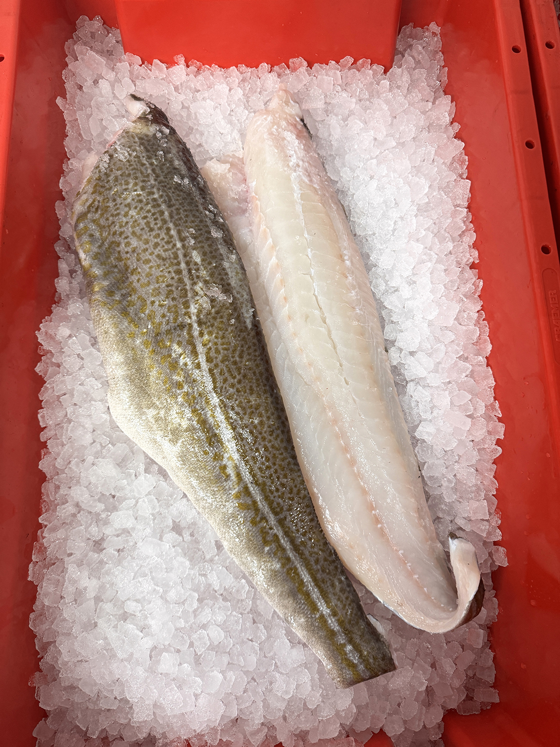 Cod Fillet (Approx. 1kg)