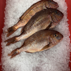 Couches Bream (700 - 800g)