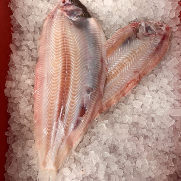 Doversole (2x whole fish, 900g total)