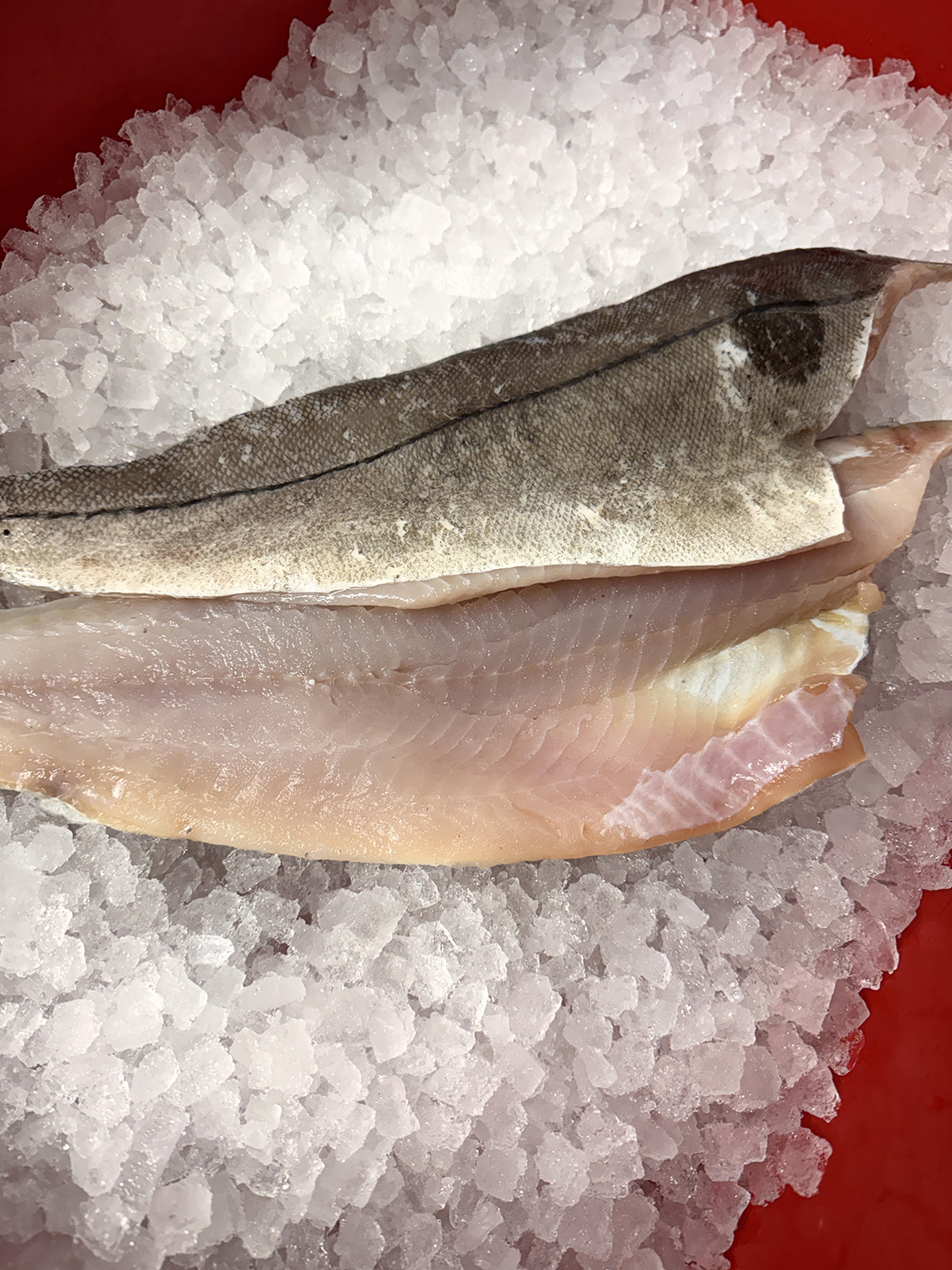 Haddock Fillet (Approx. 1kg) - Image 2