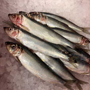 Herrings (4x whole fish)