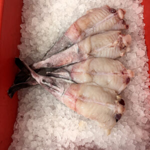 Monkfish (750-900g tail whole)