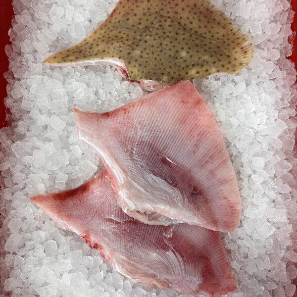 Ray Wings x2 (1kg)