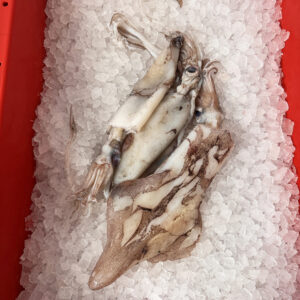 Squid / Calamari (500g whole)