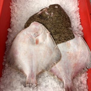 Turbot (1 - 1.2kg)