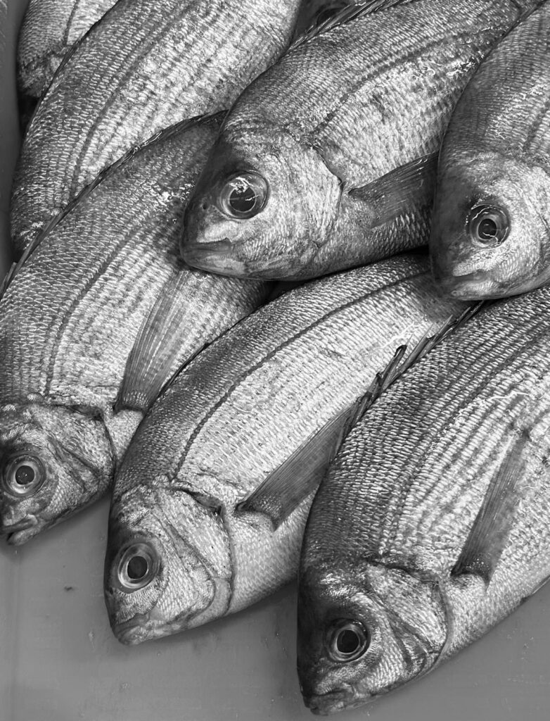 rg-seafoods
